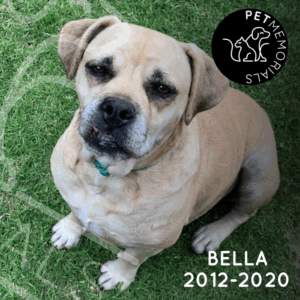Bella 2012-2020
