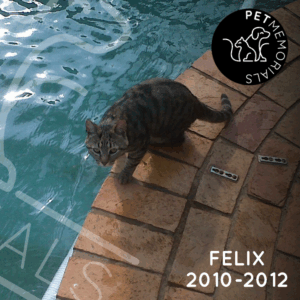 Felix 2010 - 2012