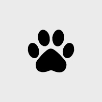 Option 1