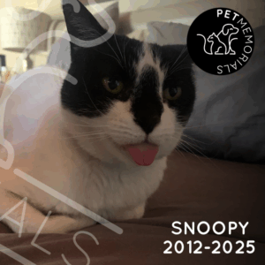 Snoopy